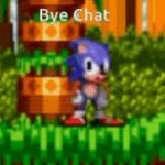 Sonic bye chat GIF Template
