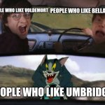 Harry Potter Train | PEOPLE WHO LIKE BELLATRIX; PEOPLE WHO LIKE VOLDEMORT; PEOPLE WHO LIKE UMBRIDGE | image tagged in harry potter | made w/ Imgflip meme maker