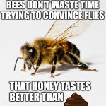 Honey bee | BEES DON'T WASTE TIME TRYING TO CONVINCE FLIES; THAT HONEY TASTES 
BETTER THAN | image tagged in honey bee | made w/ Imgflip meme maker