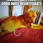 Puppy Princess | WHEN BAD PEOPLE CONGREGATE THEN GOOD DOGS DISINTEGRATE | image tagged in puppy princess | made w/ Imgflip meme maker