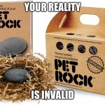 Pet Rock Logic | YOUR REALITY; IS INVALID | image tagged in pet rock | made w/ Imgflip meme maker