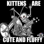 say nice things or die | KITTENS     ARE; CUTE AND FLUFFY | image tagged in skeleton on motorcycle,kittens,cute,fluffy,yes i said fluffy | made w/ Imgflip meme maker