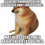 Rest in peace to a literal legend. | IF YOU ARE UNAWARE, CHEEMS HAS PASSED AWAY EARLIER TODAY. MAY HE REST EASY, HE’S BRIGHTENED A LOT OF LIVES. | image tagged in cheems | made w/ Imgflip meme maker