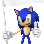 Sonic with a flag