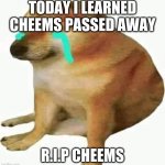 An Icon | TODAY I LEARNED CHEEMS PASSED AWAY; R.I.P CHEEMS | image tagged in cheems crying,sad | made w/ Imgflip meme maker