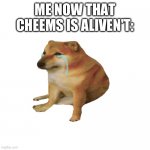 Tribute to Cheems | ME NOW THAT CHEEMS IS ALIVEN'T: | image tagged in cheems sad | made w/ Imgflip meme maker