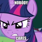 Twilight Sparkle Nobody Cares | NOBODY; CARES | image tagged in twilight sparkle's angry face,nobody cares | made w/ Imgflip meme maker