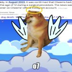 RIP | o7 | image tagged in rip cheems help spread the word | made w/ Imgflip meme maker