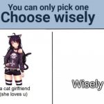 Confusing.... heh? (I use open sans font.) | Wisely | image tagged in choose wisely | made w/ Imgflip meme maker