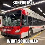OC Transpo | SCHEDULE? WHAT SCHEDULE? | image tagged in oc transpo meme | made w/ Imgflip meme maker