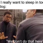 We dont do that here | Me: I really want to sleep in today. My dog: | image tagged in we dont do that here,dog,sleeping,sleep in | made w/ Imgflip meme maker