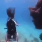 Scubadisabled GIF Template