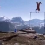 Base Jumper falls off cliff bar gymnast JPP GIF Template