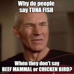 Why do people say TUNA FISH? | Why do people say TUNA FISH; When they don't say BEEF MAMMAL or CHICKEN BIRD? | image tagged in dafuq picard,tuna,fish,beef mammal,chicken bird | made w/ Imgflip meme maker
