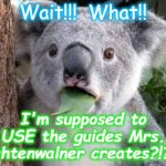 Stunned Koala | Wait!!!  What!! I'm supposed to USE the guides Mrs. Lichtenwalner creates?!?!?! | image tagged in stunned koala | made w/ Imgflip meme maker