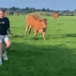Chased by a bull JPP GIF Template