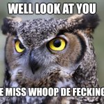 funny owls | WELL LOOK AT YOU; LITTLE MISS WHOOP DE FECKING DOO | image tagged in funny owls | made w/ Imgflip meme maker