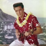 Hawaiian Elvis