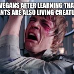 NOOOOOOOO! MY SALAD! | VEGANS AFTER LEARNING THAT PLANTS ARE ALSO LIVING CREATURES | image tagged in luke nooooo | made w/ Imgflip meme maker