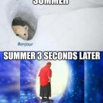 bonjur adios | SUMMER; SUMMER 3 SECONDS LATER | image tagged in bonjur adios | made w/ Imgflip meme maker
