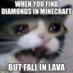 a very bad situation | WHEN YOU FIND DIAMONDS IN MINECRAFT; BUT FALL IN LAVA | image tagged in crying cat,minecraft | made w/ Imgflip meme maker