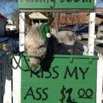 AOC Fundraiser