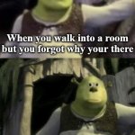 Something Relatable #4 | When you walk into a room but you forgot why your there | image tagged in shocked shrek face swap,memes,relatable memes,relatable,fun,shrek | made w/ Imgflip meme maker