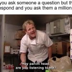 Hey Panini Head, Are You Listening To Me? | When you ask someone a question but they don't respond and you ask them a million times: | image tagged in hey panini head are you listening to me | made w/ Imgflip meme maker