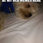 Image Title | ME LOOKING BACK AT MY OLD MEMES HERE | image tagged in cringe,my old cringe | made w/ Imgflip meme maker
