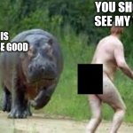 OOH   NOOO!  this didn't end well | YOU SHOULD SEE MY VIEW; THIS CAN'T BE GOOD | image tagged in hippo vs naked guy,thyat sucks,this cant be good,not from my view,uh oh | made w/ Imgflip meme maker