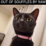 WTF | WHEN PANERA RUNS OUT OF SOUFFLÉS BY 9AM | image tagged in wtf carol,y tho,wtf cat,cat,funny meme | made w/ Imgflip meme maker