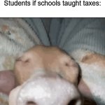 You have to admit that this is true ✍(◔◡◔) | Students: "Why do schools teach **subject**? Why don't they teach us about taxes instead?"; Students if schools taught taxes: | image tagged in gifs,memes,funny,true story,school,teaching | made w/ Imgflip video-to-gif maker