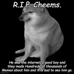 R.I.P. Cheems ? | R.I.P. Cheems. He was the internet's good boy and they made Hundreds of thousands of Memes about him and it is sad to see him go. | image tagged in cheems | made w/ Imgflip meme maker