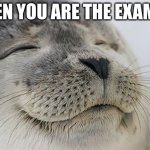 Satisfied Seal Meme | WHEN YOU ARE THE EXAMPLE | image tagged in memes,satisfied seal | made w/ Imgflip meme maker