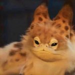 Ahsoka Loth Cat
