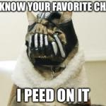 Bane Cat | YOU KNOW YOUR FAVORITE CHAIR? I PEED ON IT | image tagged in bane cat | made w/ Imgflip meme maker
