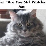 Netflix | image tagged in netflix,fun,memes,tv | made w/ Imgflip meme maker