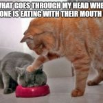 Force feed cat | WHAT GOES THROUGH MY HEAD WHEN SOMEONE IS EATING WITH THEIR MOUTH OPEN! | image tagged in force feed cat | made w/ Imgflip meme maker