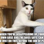 Really boss | WHEN YOU'RE DISAPPEARING UP YOUR OWN ARSE AND THE BOSS SAYS, CAN YOU JUST DO THIS BEFORE THE END OF PLAY. | image tagged in busy cat | made w/ Imgflip meme maker