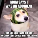 I was an accident | MOM SAYS I WAS AN ACCIDENT; THEN SHE SAID I WAS THE BEST ACCIDENT SHE COULD HAVE ASKED FOR | image tagged in wholesome pete | made w/ Imgflip meme maker