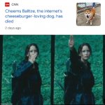 Respect. | image tagged in katniss respect,cheems,f in the chat | made w/ Imgflip meme maker