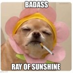 Badass ray if sunshine | BADASS; RAY OF SUNSHINE | image tagged in ray of sunshine | made w/ Imgflip meme maker