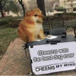 Cheems best dog RIP | Cheems was the best dog ever | image tagged in cheems my mind,rip,cheems | made w/ Imgflip meme maker