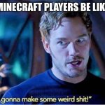 everyone | MINECRAFT PLAYERS BE LIKE | image tagged in im gonna make some weird shit | made w/ Imgflip meme maker