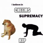RIP Cheems. Spam F in the chat | CHEEMS; RIP | image tagged in i believe in __ supremacy | made w/ Imgflip meme maker