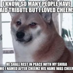 Rip both cheemz | I KNOW SO MANY PEOPLE HAVE PAID TRIBUTE BUT I LOVED CHEEMS; HE SHALL REST IN PEACE WITH MY SHIBA WHO I NAMED AFTER CHEEMZ HIS NAME WAS CHEEMS | image tagged in sad cheems | made w/ Imgflip meme maker