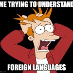 It's so confusing | ME TRYING TO UNDERSTAND; FOREIGN LANGUAGES | image tagged in futurama fry screaming | made w/ Imgflip meme maker