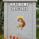 rest in peace cheems :( | 2017-2023; RIP CHEEMS | image tagged in gravestone | made w/ Imgflip meme maker