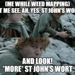 Samwise goes weed mapping | (ME WHILE WEED MAPPING)
LET ME SEE. AH, YES. ST JOHN'S WORT; AND LOOK! *MORE* ST JOHN'S WORT | image tagged in sam gamgee lembas bread | made w/ Imgflip meme maker