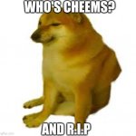 crying cheems | WHO'S CHEEMS? AND R.I.P | image tagged in crying cheems | made w/ Imgflip meme maker